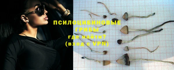 дурь Аркадак