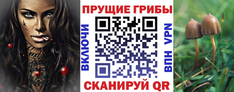 маркетплейс Telegram  Кизел  Галлюциногенные грибы мухоморы 